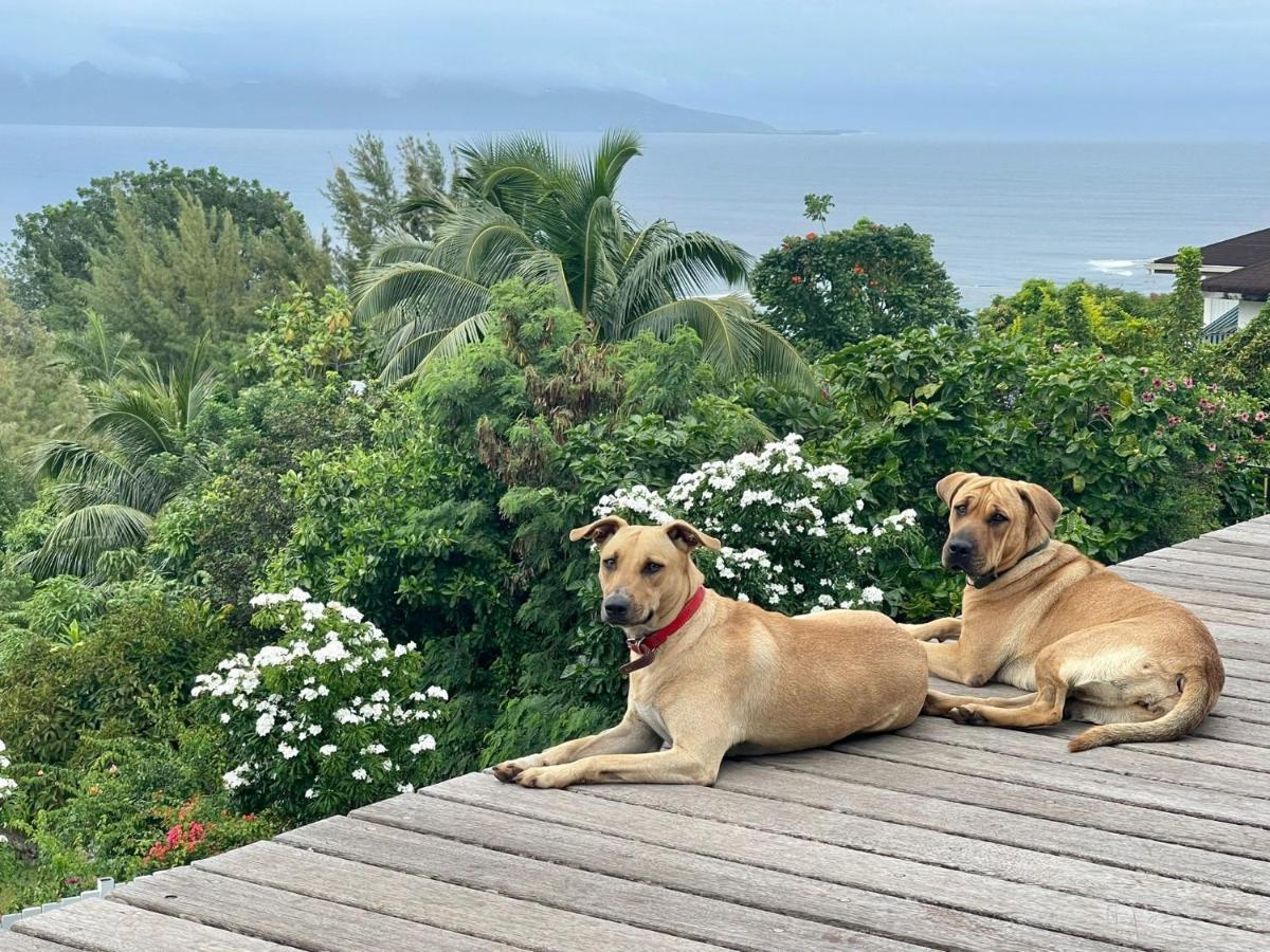 Jolie Maison Vue Ocean Et Moorea Punaauia  Exteriör bild